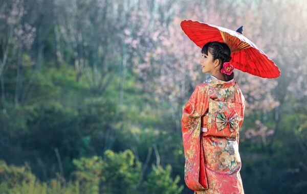 Tamari: Hemmeligheden bag autentisk japansk madlavning