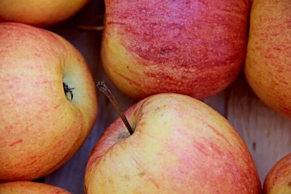 Den ultimative guide til at skabe et æblekasse-paradis i din have