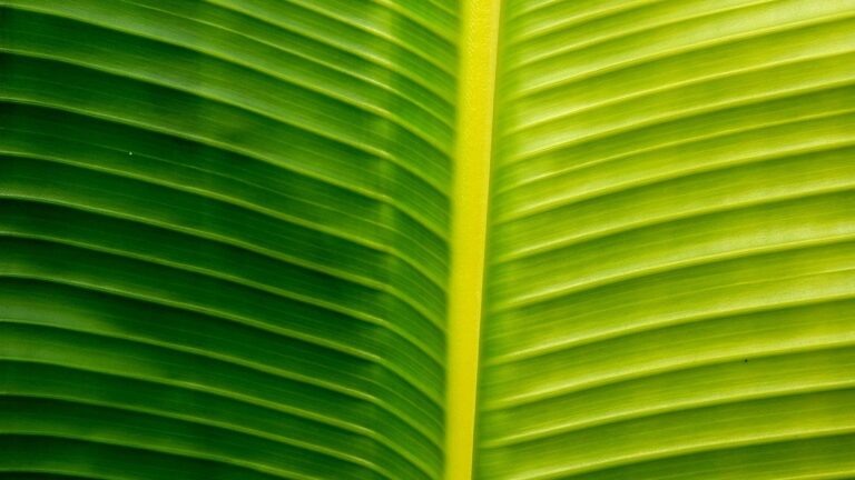 Hængeøreringe: Små detaljer, stor festlig effekt